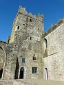 Tintern Abbey - 005